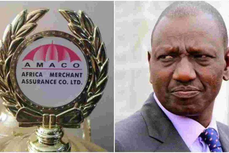 Court Orders Closure of DP Ruto-Linked Insurance Company over Sh10 Million Debt