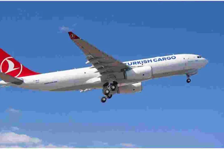 Kenyan Teen Found Alive After Clinging to Landing Gear of Flight from London to Netherlands 