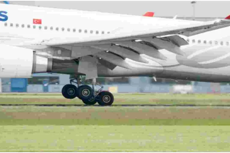 Kenyan Teen Stowaway Who Miraculously Survived 8,000Km Flight Seeks Asylum in the Netherlands 