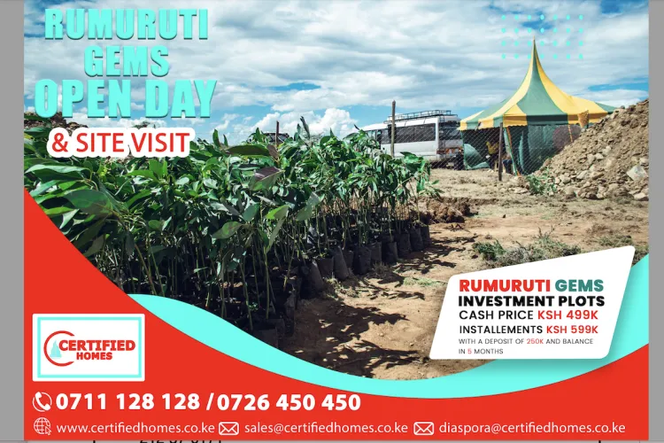 Affordable Investment Plots Available