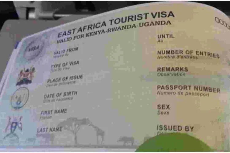 Government Warns of Cybercriminals Targeting Visitors to Kenya in e-Visa Scam 