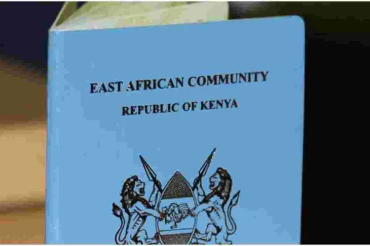 54 Countries Ban Kenyan Passport Holders Due to COVID-19 