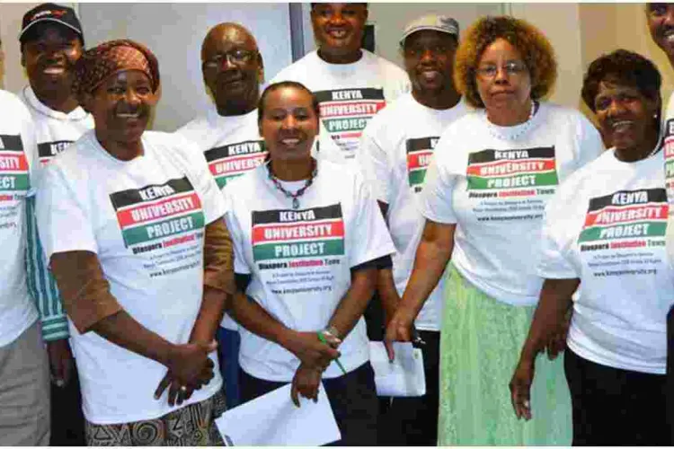 Diaspora Group Building Sh100 Billion Diaspora University Town in Kenya  