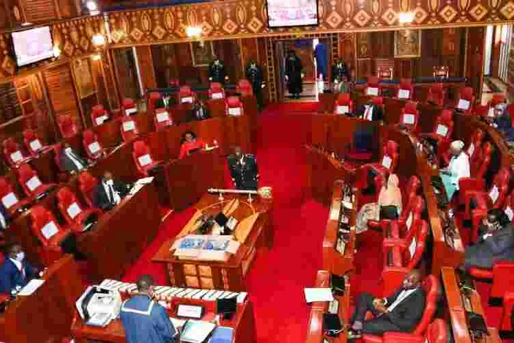 Kenyan Senators Clash over Planned Trip to the US