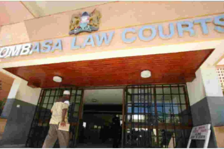 Kenyan-German Woman Risks Losing Prime Coast Land over Service Charge Arrears