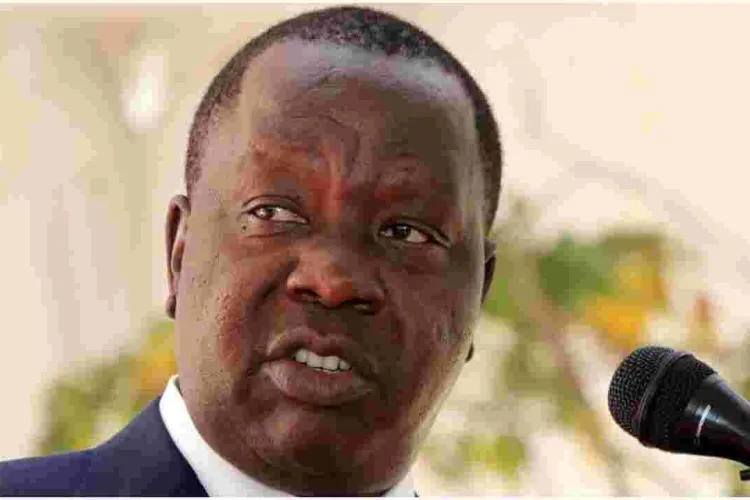 MP Moses Kuria Dismisses Plot to Impeach CS Fred Matiang’i 