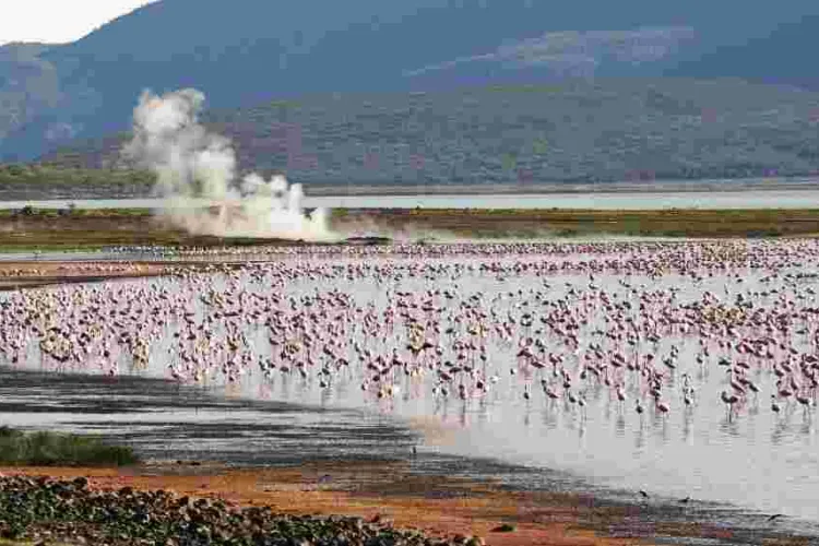 Baringo Set to Become Kenya's First Geopark and Third in Africa 