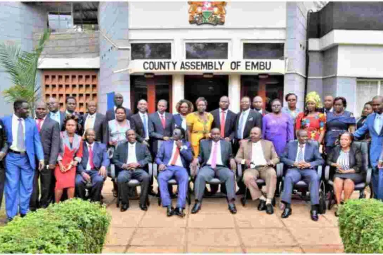 Embu MCAs to Pocket Millions as They Travel to Tanzania to Learn Basic Etiquette 
