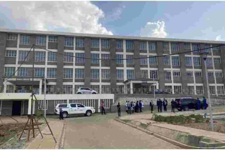 Sh400 Million Nairobi Hospital Named After First Lady Margaret Kenyatta