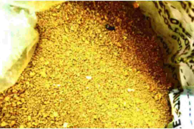 Two Suspects Arrested for Conning an Investor Sh1 Million with Crushed Padlocks Disguised as Gold 