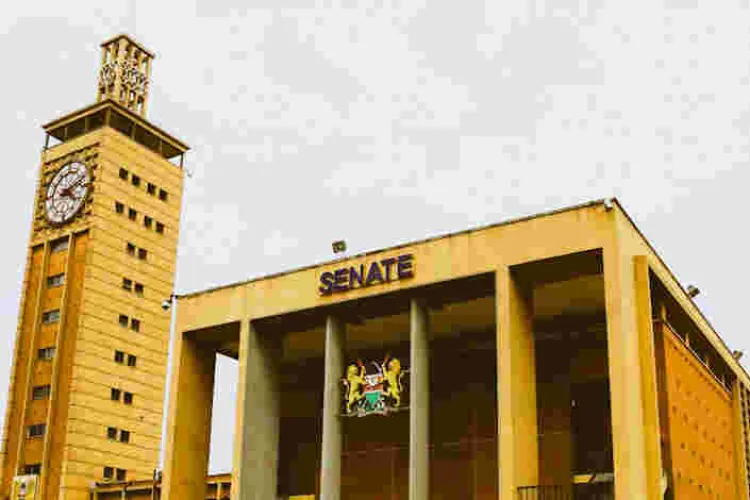 Senators Approve a Bill Seeking to Encourage Kenyans in Diaspora to Invest Back Home