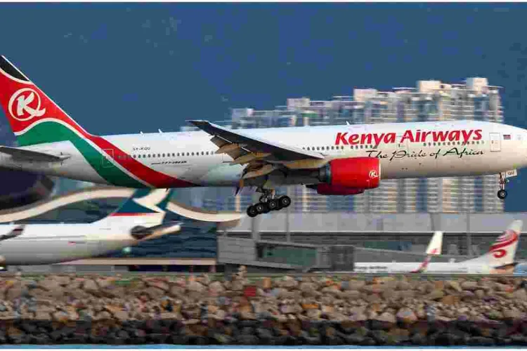 Kenya Airways Vows to Stop Shipping Monkeys to the US