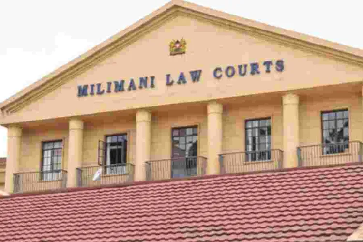 Sh102 Million Money Laundering Case Suspended as Two Women Claim to be College Student Felesta Nyamathira