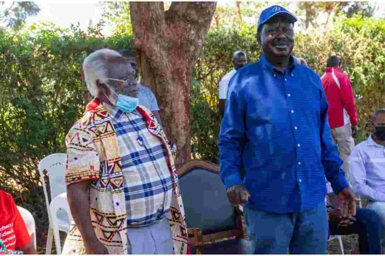 Raila Condemns Meru Senator Mithika Linturi's 'Madoadoa' Remarks 