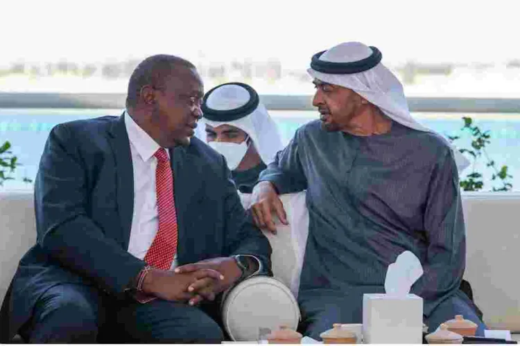 UAE to Establish an Innovation and Entrepreneurship Center in Kenya