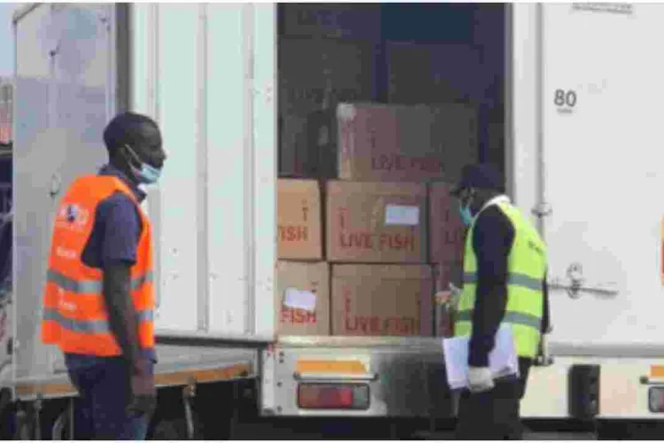 Chinese Nationals Arrested at JKIA Trying to Illegally Export 5,703kgs of Live Crabs 