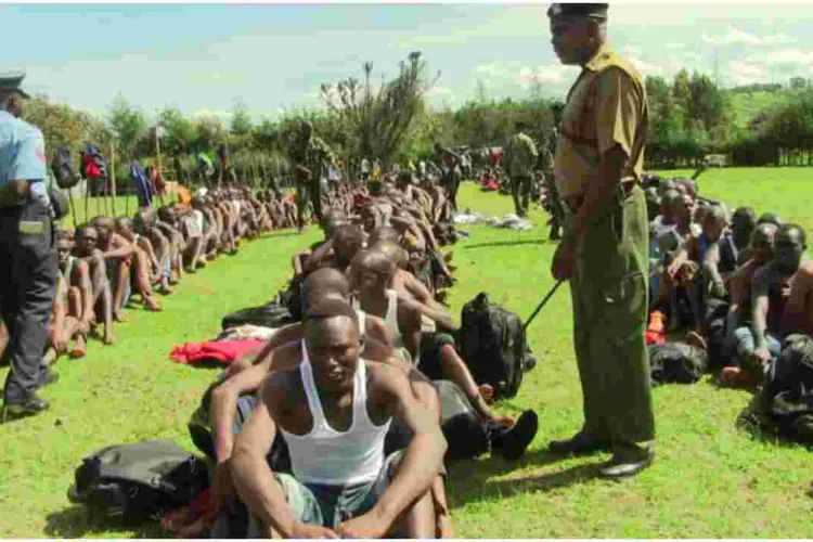 Kenyan University Graduates Blocked from Joining the Police Service 