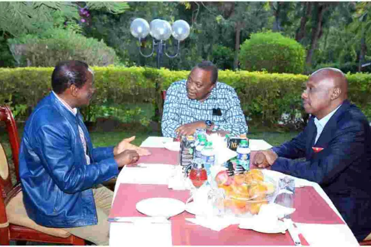 Kalonzo Hosts President Uhuru and Senator Moi for Dinner at His Karen Residence