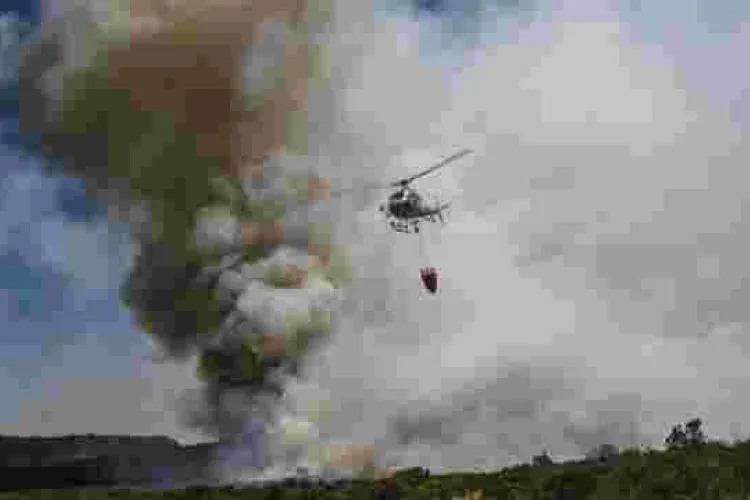 Fire Destroys 16,000 Acres of Mt Kenya Forest