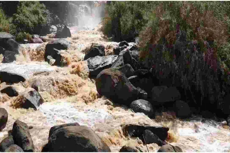 Three More Bodies Retrieved from River Yala, Raising Total Count to 30