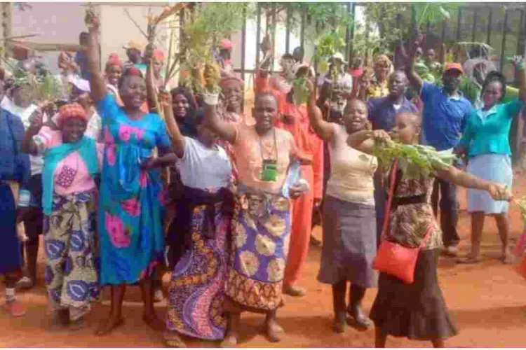 Casual Workers at Ruto’s 1,000-Acre Ranch Protest over Delayed Salaries 