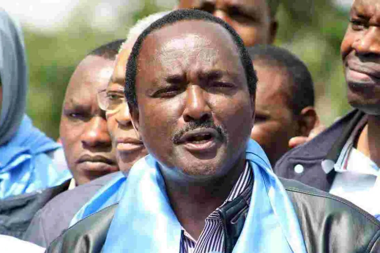 Kalonzo: Ruto Rigged 2013 and 2017 Elections Without Uhuru’s Knowledge