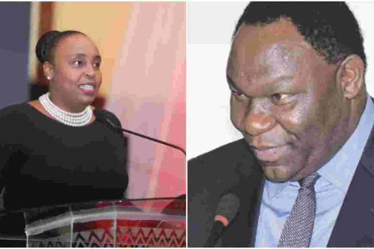 Nyeri Deputy Governor Caroline Karugu, Former PS Bitange Ndemo Among 24 Newly Appointed Ambassadors  
