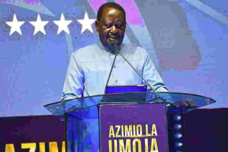 Raila Makes Three Appointments to His Diaspora Campaign Team 