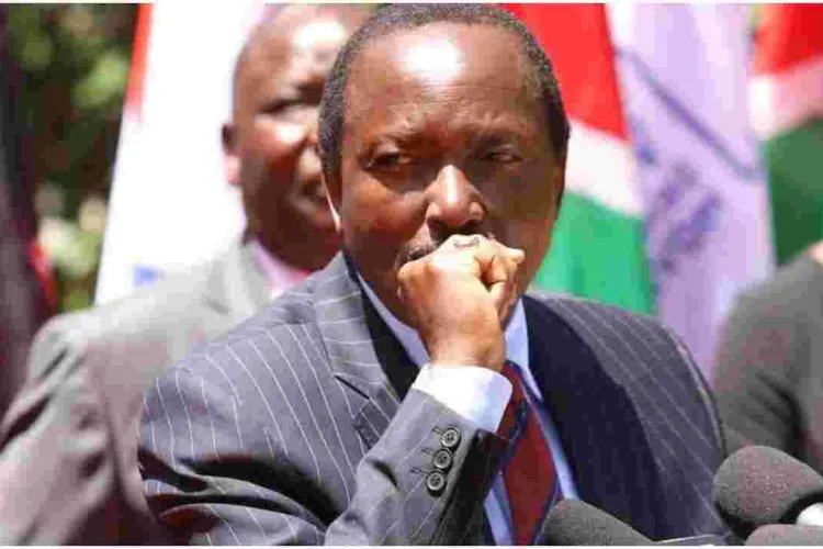 Kalonzo Locked Out of 2022 Presidential Race as IEBC Releases a List of 16 Candidates 