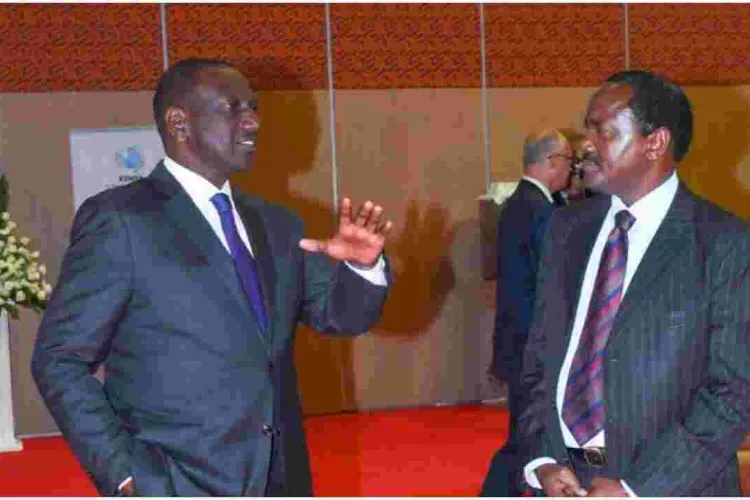 Ruto Defends Kalonzo over Humiliating Raila's Running Mate Interview 