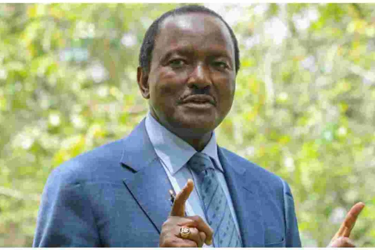 Registrar of Political Parties Wants Kalonzo Barred from Vying for Presidency 