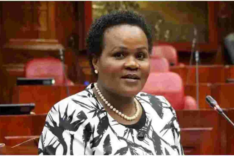 Mary Gichohi Worth Sh400 Million as 21 New Ambassador Nominees Reveal Their Wealth 