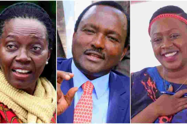 Kalonzo, Karua, Sabina Chege, Peter Kenneth Among Eight Candidates Shortlisted to be Raila's Running Mate