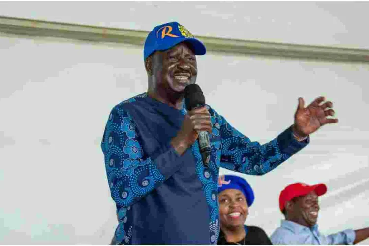  Panel to Pick Three Nominees for Raila Running Mate Slot 