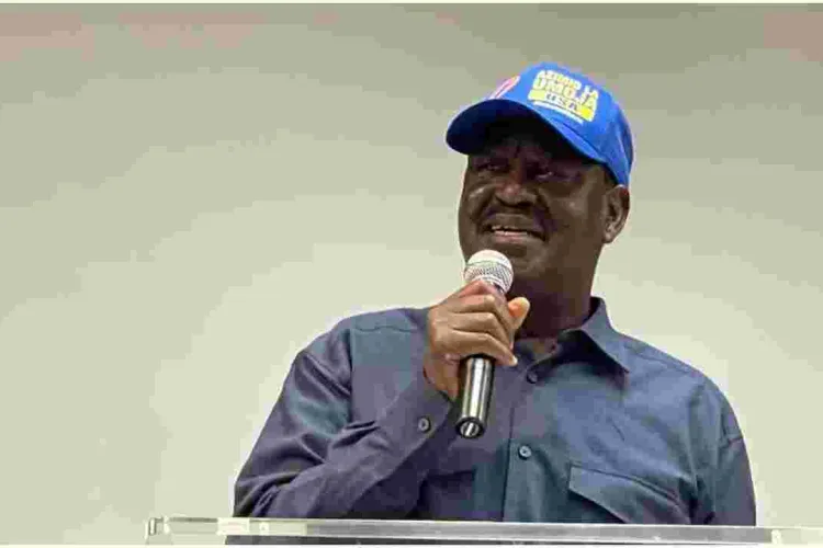 Panel Submits Names of Top Three Running Mate Candidates to Raila