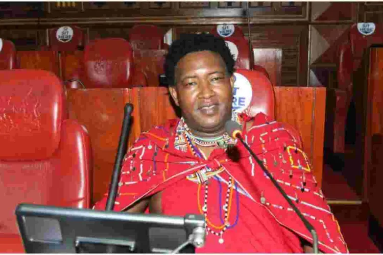 Narok Senator Ledama Ole Kina Denies Inciting Violence in Tanzania