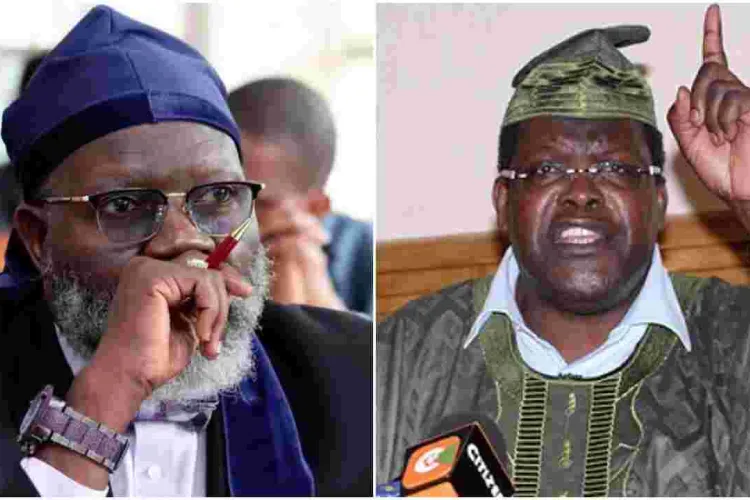 Miguna Miguna Pokes Holes in Presidential Candidate Wajackoyah's Bid to Legalize Marijuana 