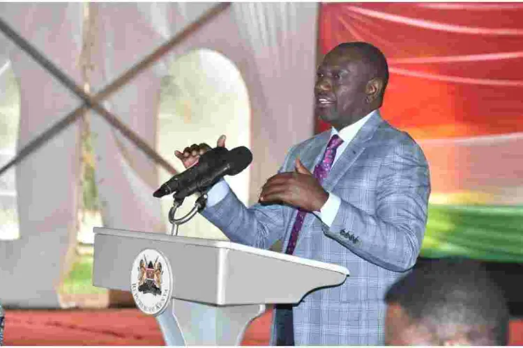  Ruto Claims One Million Voters from His Strongholds Removed from IEBC Register 