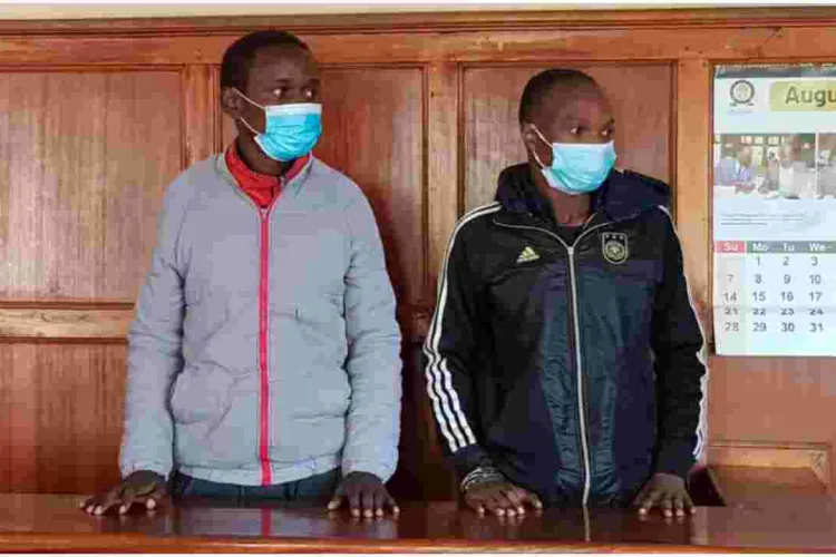 Two Men Jailed for Life for Mugging a Pedestrian in Nairobi 