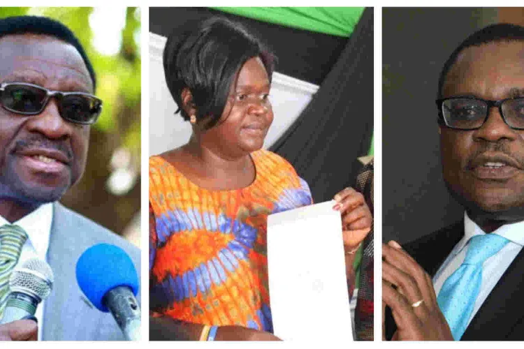 List of Winners for Governor Elections 