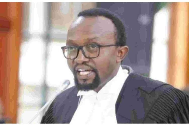 Lawyer Ndegwa Njiru Says Diaspora is an Alien Constituency That Contaminated the Kenya Presidential Election 