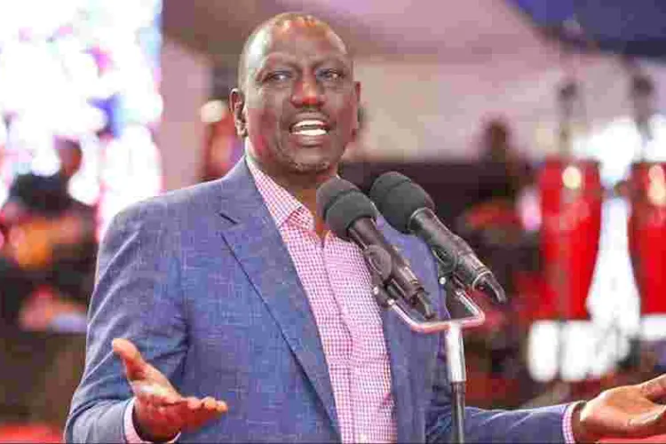 Ruto Pledges to Lower Unga and Fertilizer Prices Next Week