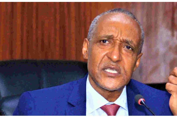Foreign Affairs PS Kamau Under Fire for Comment on Mistreatment of Kenyan Workers in Saudi Arabia 