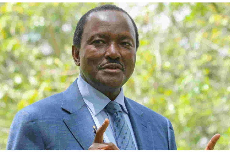 Azimio Fronts Kalonzo and Marende for Senate and National Assembly Speaker Posts