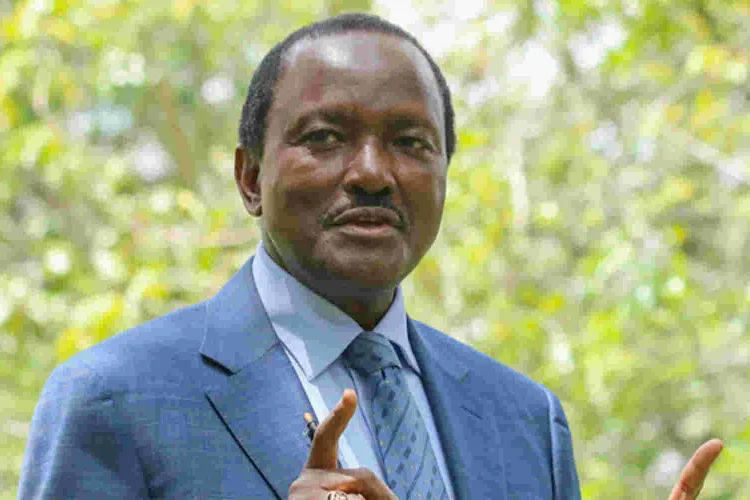 Kalonzo Protests Gov’t Decision to Lift Ban on GMO Foods 