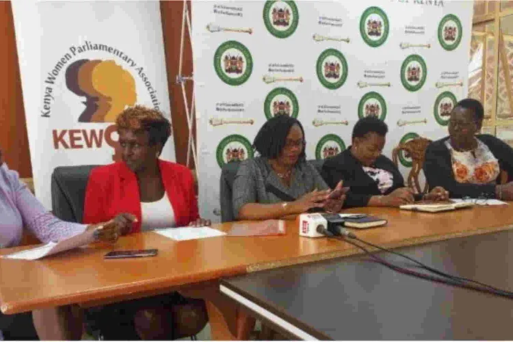 Women MPs Demand a Ban on Export of Kenyan Domestic Workers to the Middle East