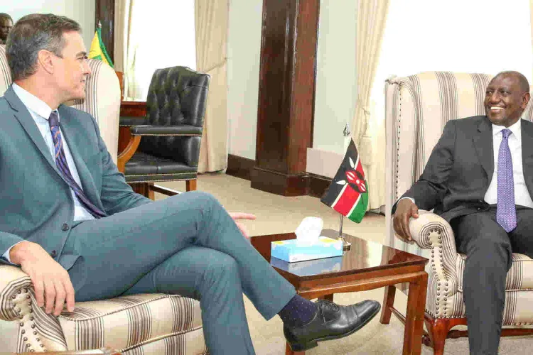 Ruto: Kenya to Plant Five Billion Trees in Five Years to Combat Climate Change