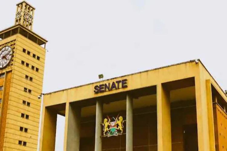 Kenya Supreme Court Rules Senate Has Powers to Summon Governors over County Revenue 