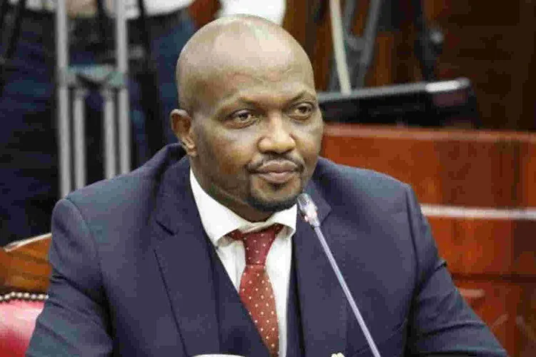 Kenya Gov't to Allow Import of Duty-Free GMO Maize for Six Months