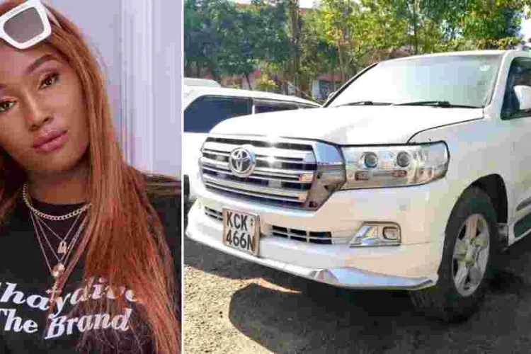 Kenyan Socialite Found Guilty of Stealing Dead Tycoon's Toyota Land Cruiser V8